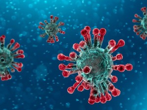 Actividad Médica y Coronavirus